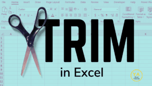 TRIM in Excel (feat. image, thumbnail)