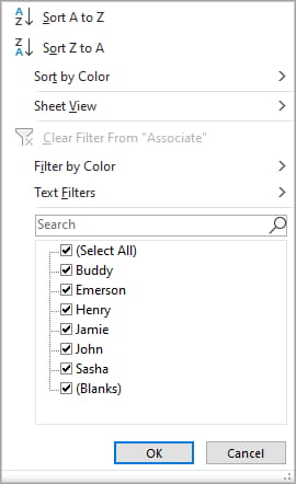 Example of Filter Drop Down Menu in Excel